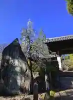 東長谷寺 薬王院(東京都)