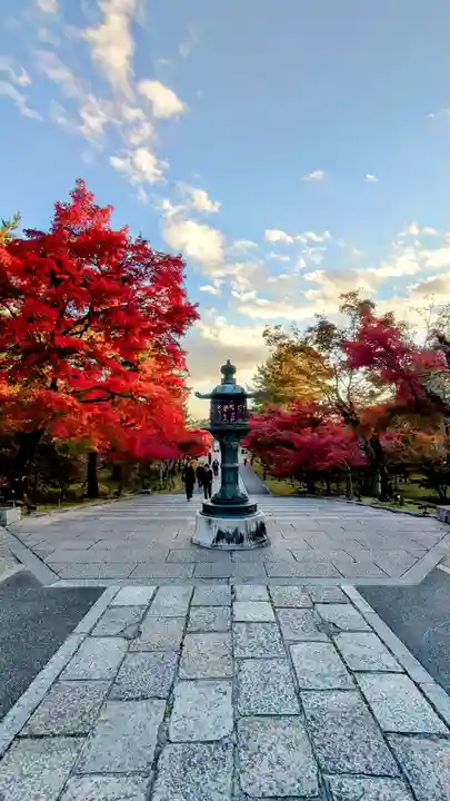 仁和寺(京都府)