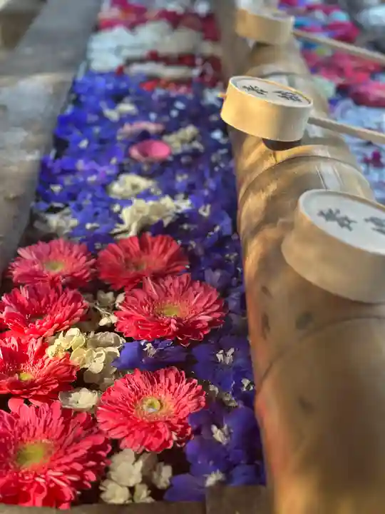 群馬県護国神社(群馬県)