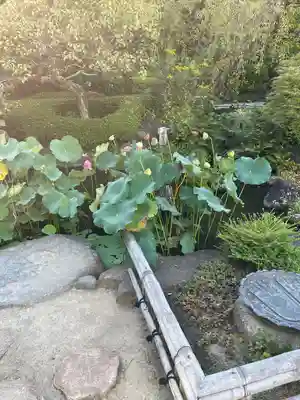 長谷寺(神奈川県)