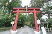 大崎八幡宮の鳥居