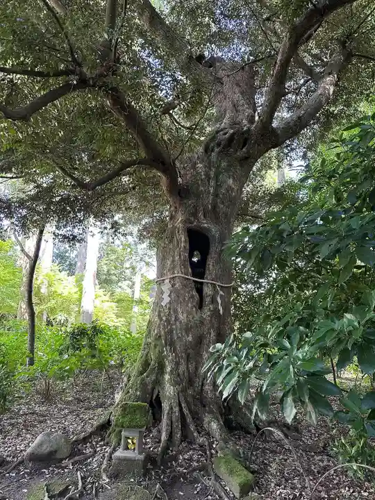 國吉神社(千葉県)
