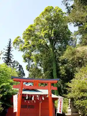 神炊館神社 ⁂奥州須賀川総鎮守⁂の末社・摂社