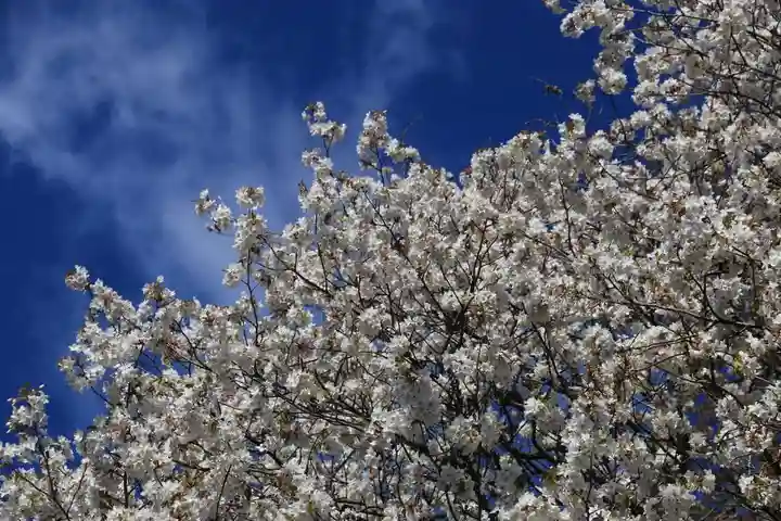 見渡神社の庭園