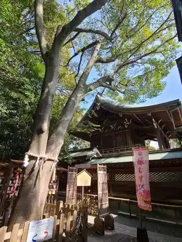 琴崎八幡宮の本殿