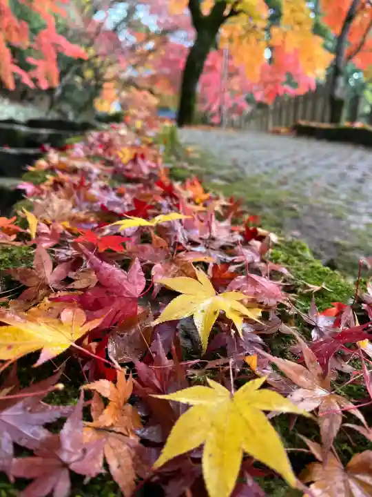 永源寺(滋賀県)