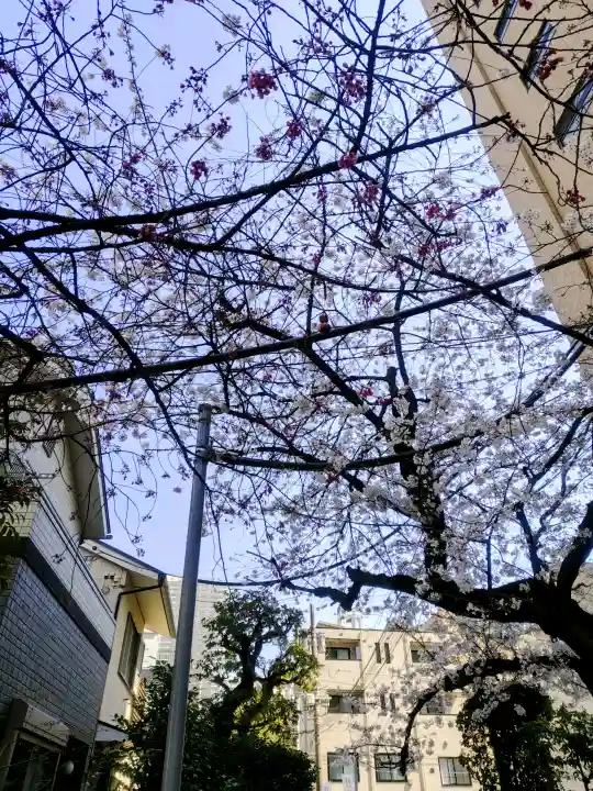 秋葉神社の{uncategorized: "未分類", other: "その他", undefined: "問題あり", building: "その他建物", grave: "お墓", sacred_gate: "鳥居", guardian: "狛犬", statue: "像", buddha: "仏像", history: "歴史", nature: "自然", garden: "庭園", animal: "動物", pagoda: "塔", temizu: "手水舎", mountain_gate: "山門・神門", sanctuary: "本殿・本堂", subordinate: "末社・摂社", art: "芸術", scenery: "景色", jizo: "地蔵", ema: "絵馬", goshuin: "御朱印", omikuji: "おみくじ", items: "授与品その他", amulet: "お守り", goshuincho: "御朱印帳", eats: "食事", festival: "お祭り", votive_dance: "神楽", shichigosan: "七五三参", wedding: "結婚式", experience: "体験その他", initially: "初詣", around: "周辺", anti_infection: "感染症対策"}