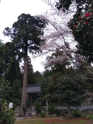 八幡神社(福井県)