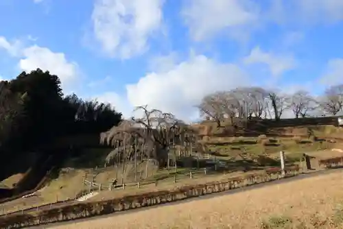瀧桜神明宮の自然