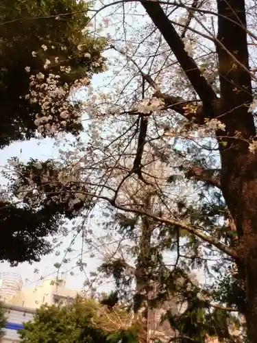 池尻稲荷神社(東京都)