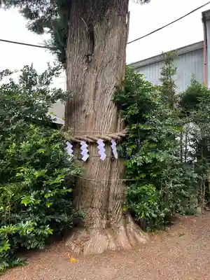 健田須賀神社(茨城県)