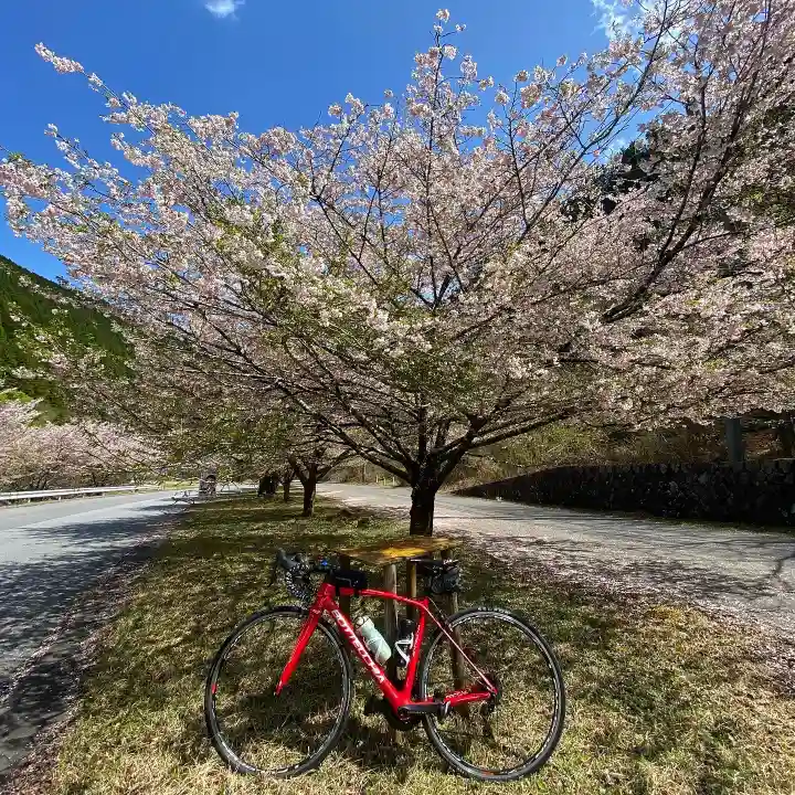 古峯神社の自然