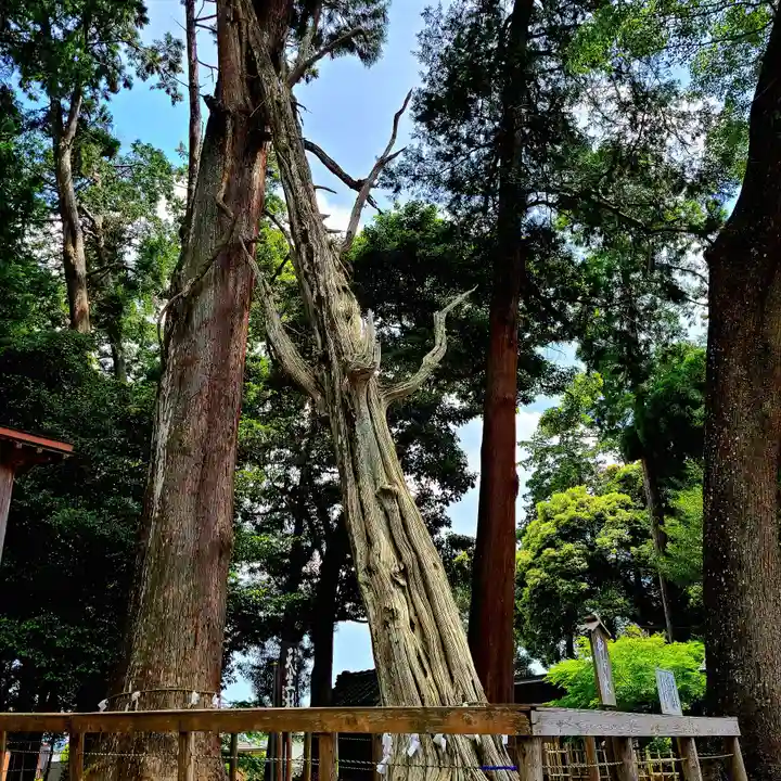 渭伊神社(静岡県)