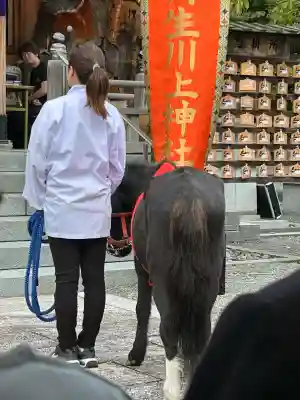 丹生川上神社（上社）(奈良県)