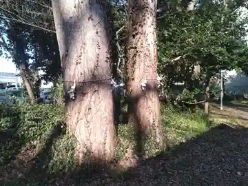 十二神社(大阪府)