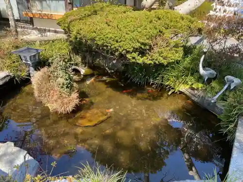 北野神社の{uncategorized: "未分類", other: "その他", undefined: "問題あり", building: "その他建物", grave: "お墓", sacred_gate: "鳥居", guardian: "狛犬", statue: "像", buddha: "仏像", history: "歴史", nature: "自然", garden: "庭園", animal: "動物", pagoda: "塔", temizu: "手水舎", mountain_gate: "山門・神門", sanctuary: "本殿・本堂", subordinate: "末社・摂社", art: "芸術", scenery: "景色", jizo: "地蔵", ema: "絵馬", goshuin: "御朱印", omikuji: "おみくじ", items: "授与品その他", amulet: "お守り", goshuincho: "御朱印帳", eats: "食事", festival: "お祭り", votive_dance: "神楽", shichigosan: "七五三参", wedding: "結婚式", experience: "体験その他", initially: "初詣", around: "周辺", anti_infection: "感染症対策"}