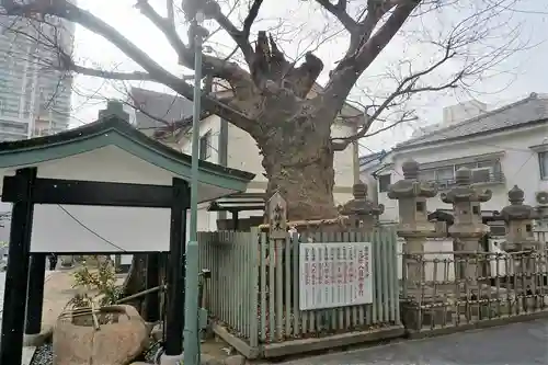 一宮神社のその他建物