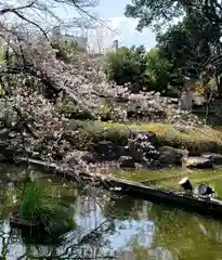 東郷神社の庭園