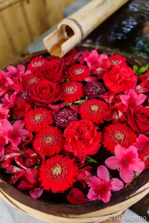 野見神社(大阪府)
