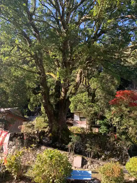 流谷八幡神社(大阪府)