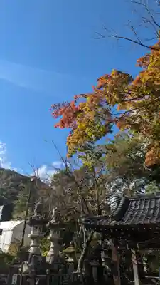 松尾大社(京都府)