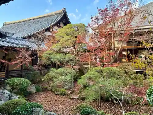 禅林寺（永観堂）(京都府)