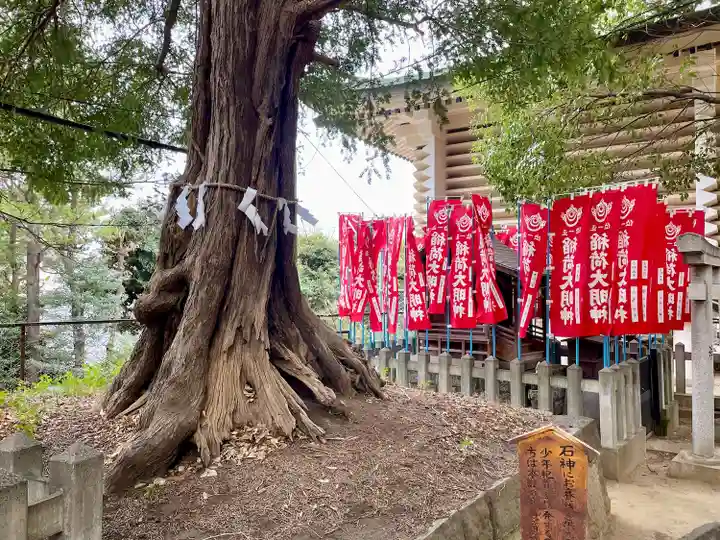 諏訪神社(東京都)