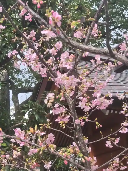 生田神社の{uncategorized: "未分類", other: "その他", undefined: "問題あり", building: "その他建物", grave: "お墓", sacred_gate: "鳥居", guardian: "狛犬", statue: "像", buddha: "仏像", history: "歴史", nature: "自然", garden: "庭園", animal: "動物", pagoda: "塔", temizu: "手水舎", mountain_gate: "山門・神門", sanctuary: "本殿・本堂", subordinate: "末社・摂社", art: "芸術", scenery: "景色", jizo: "地蔵", ema: "絵馬", goshuin: "御朱印", omikuji: "おみくじ", items: "授与品その他", amulet: "お守り", goshuincho: "御朱印帳", eats: "食事", festival: "お祭り", votive_dance: "神楽", shichigosan: "七五三参", wedding: "結婚式", experience: "体験その他", initially: "初詣", around: "周辺", anti_infection: "感染症対策"}