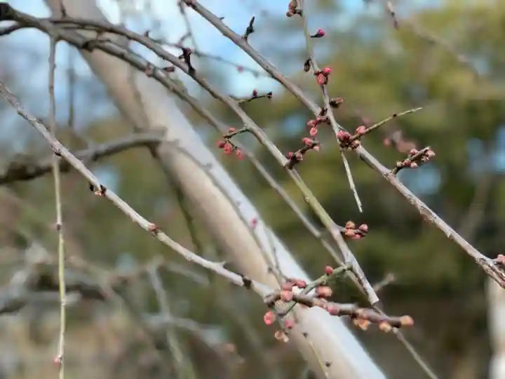 伊勢の国 四天王寺の自然