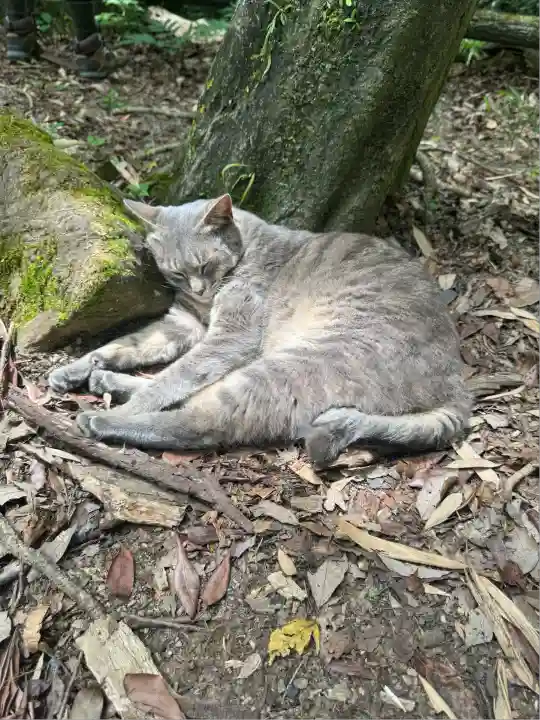 玉野御嶽神社(愛知県)