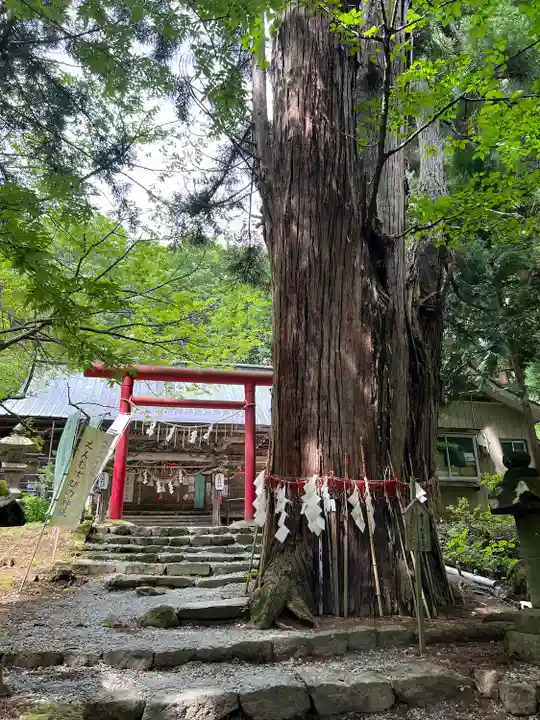 磐椅神社(福島県)