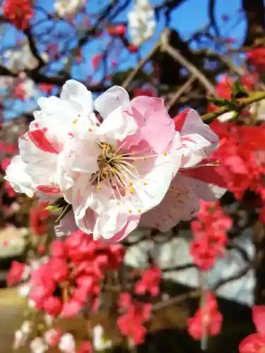 圓照寺(東京都)