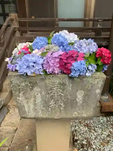 松尾山　青蓮寺(長崎県)