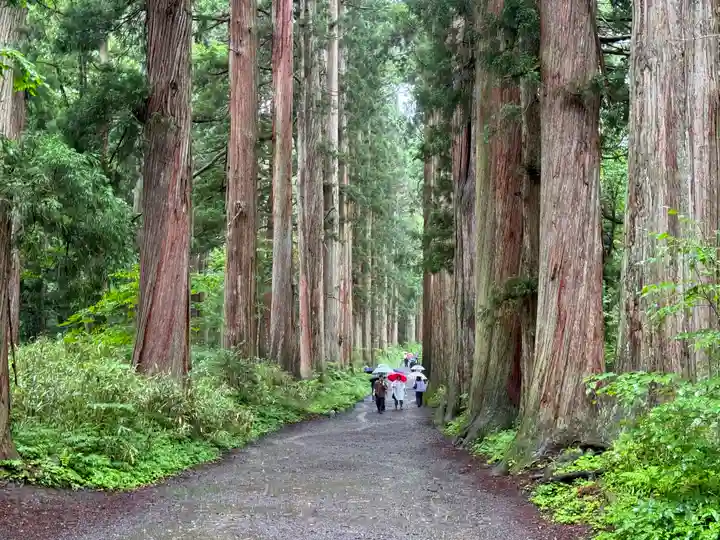 戸隠神社九頭龍社(長野県)