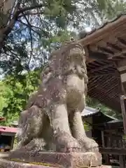 白瀧神社の狛犬