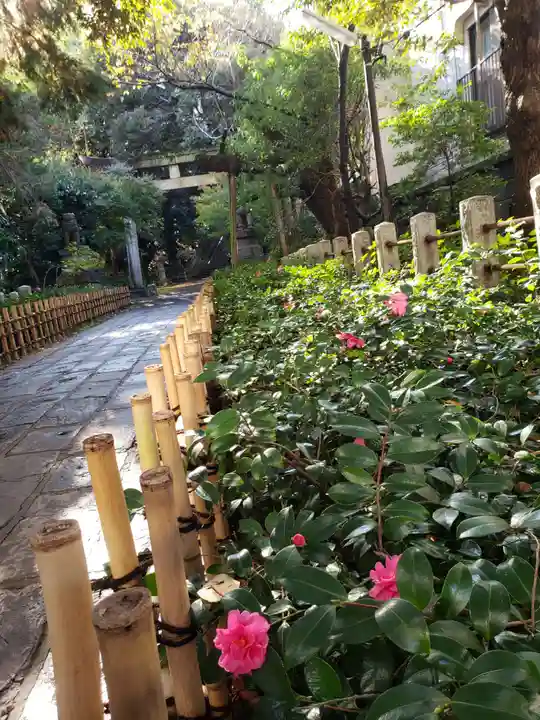 赤坂氷川神社(東京都)