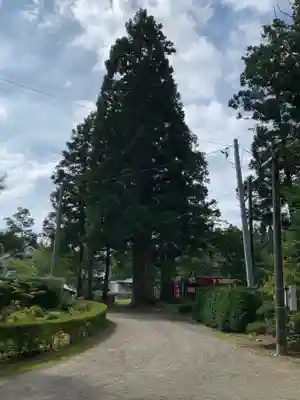 熊野神社(岩手県)