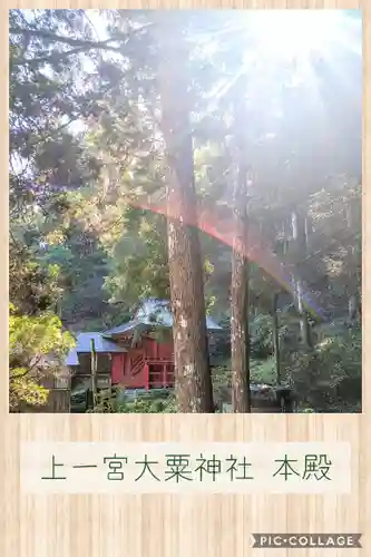 上一宮大粟神社の本殿・本堂