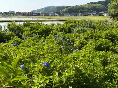 本興寺(石川県)