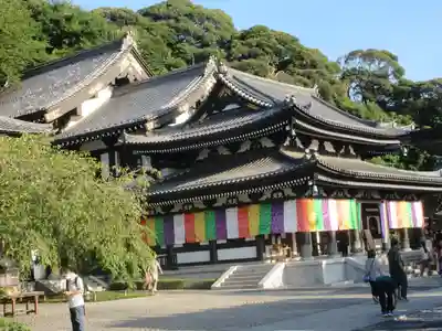 長谷寺(神奈川県)