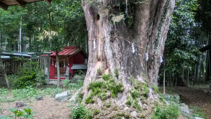 雄琴神社の{uncategorized: "未分類", other: "その他", undefined: "問題あり", building: "その他建物", grave: "お墓", sacred_gate: "鳥居", guardian: "狛犬", statue: "像", buddha: "仏像", history: "歴史", nature: "自然", garden: "庭園", animal: "動物", pagoda: "塔", temizu: "手水舎", mountain_gate: "山門・神門", sanctuary: "本殿・本堂", subordinate: "末社・摂社", art: "芸術", scenery: "景色", jizo: "地蔵", ema: "絵馬", goshuin: "御朱印", omikuji: "おみくじ", items: "授与品その他", amulet: "お守り", goshuincho: "御朱印帳", eats: "食事", festival: "お祭り", votive_dance: "神楽", shichigosan: "七五三参", wedding: "結婚式", experience: "体験その他", initially: "初詣", around: "周辺", anti_infection: "感染症対策"}