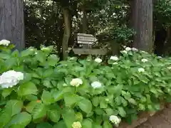 長谷寺(神奈川県)