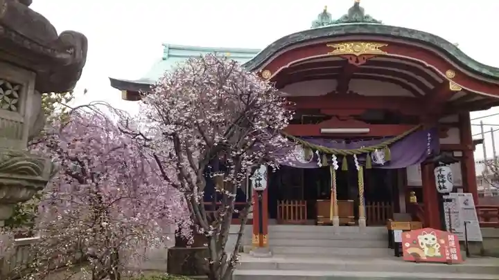 千住神社の本殿・本堂