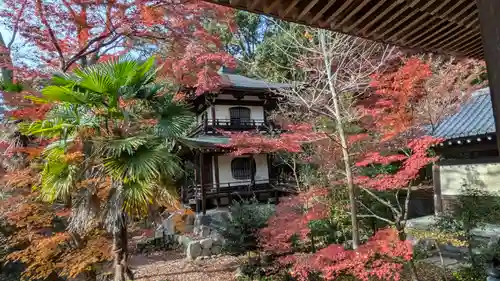 栖賢寺(京都府)