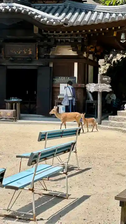 大聖院弥山本堂(広島県)
