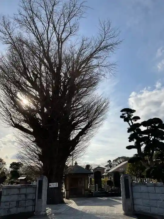 西円寺(茨城県)