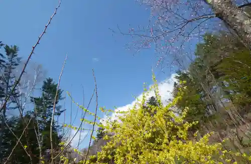 留辺蘂神社の自然
