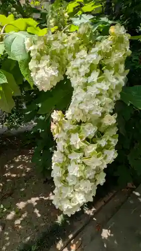 和光寺(大阪府)