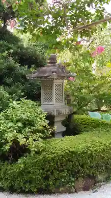 浄性院の庭園
