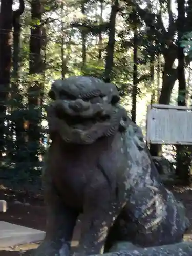 間々田八幡宮の狛犬